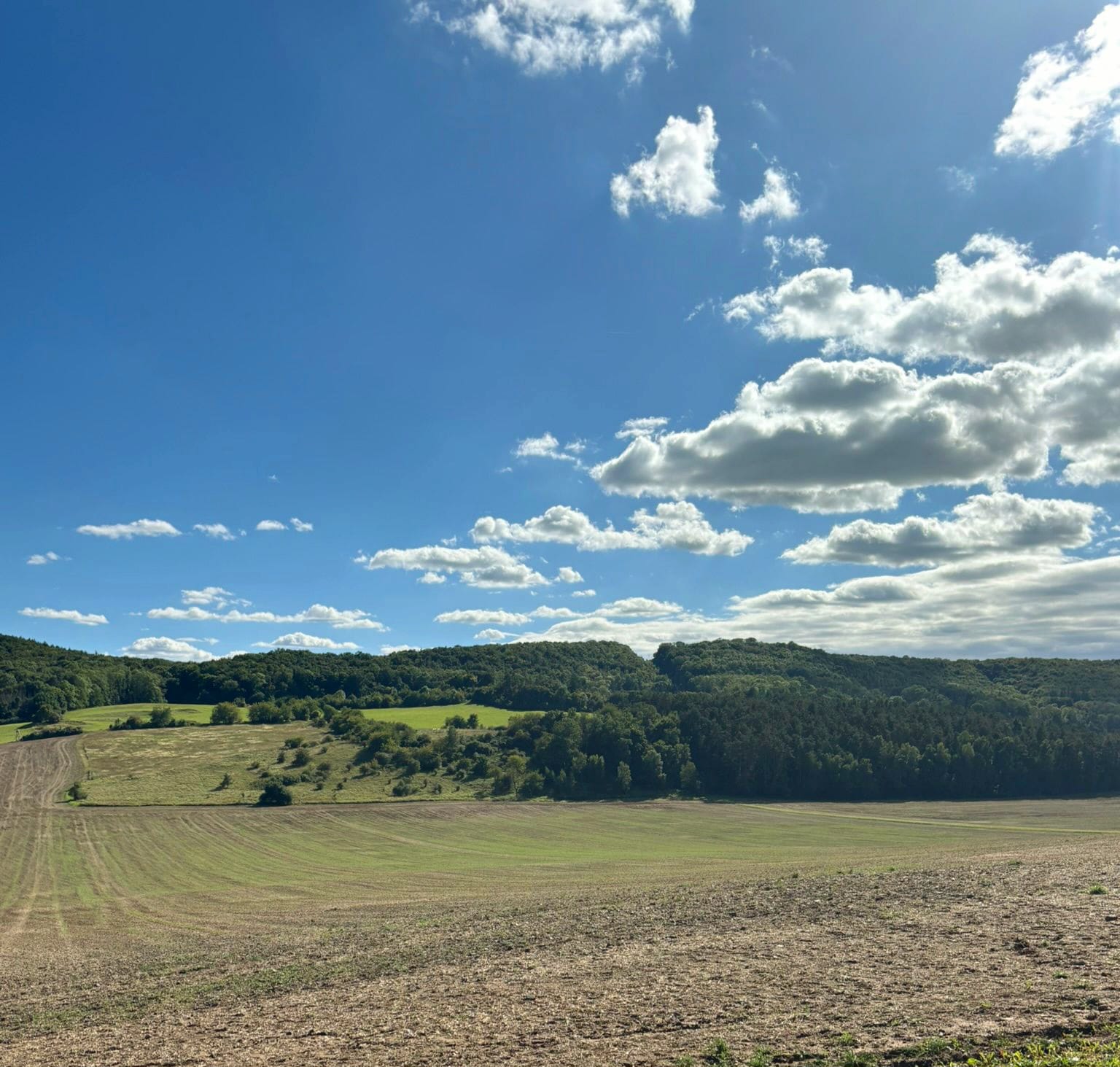 Blick auf die Weißfläche bei Breitungen