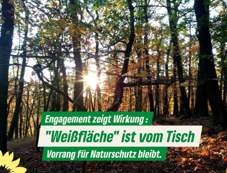 Abbau von Naturgips gestoppt – Pressemitteilung